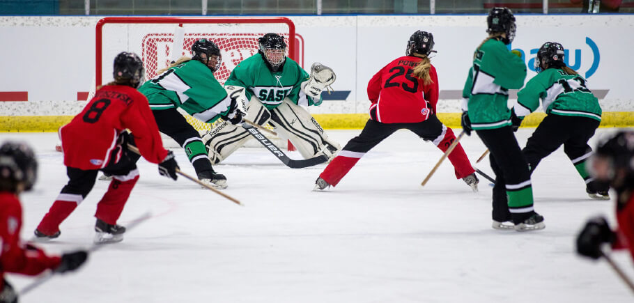 Goalie Shot